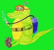 wp37500f2b_0f.jpg