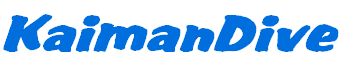 wp56cb6f43.png