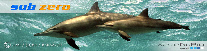wpa762f666_0f.jpg